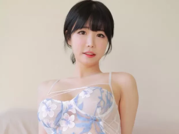 Addielyn(에디린) – 日韩合集[已更新至10期]~[660P+12V – 11G]